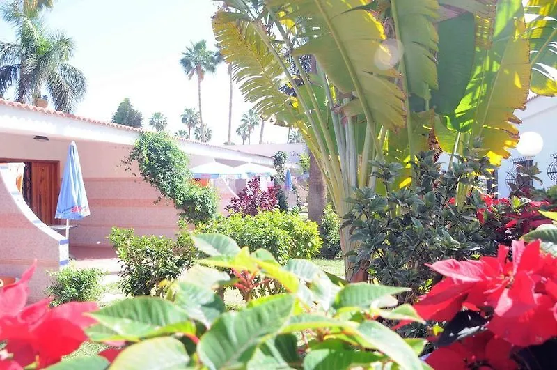 San Valentin & Terraflor Park Hotel Playa del Ingles